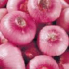 Fresh Red and Yellow Onion from MARK ANDERSON CO.LTD, YAOUNDE, CAMEROON